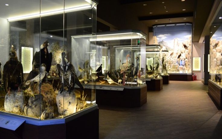 Νέα διαδρομή χαράσσει το Μουσείο Φυσικής Ιστορίας Μετεώρων