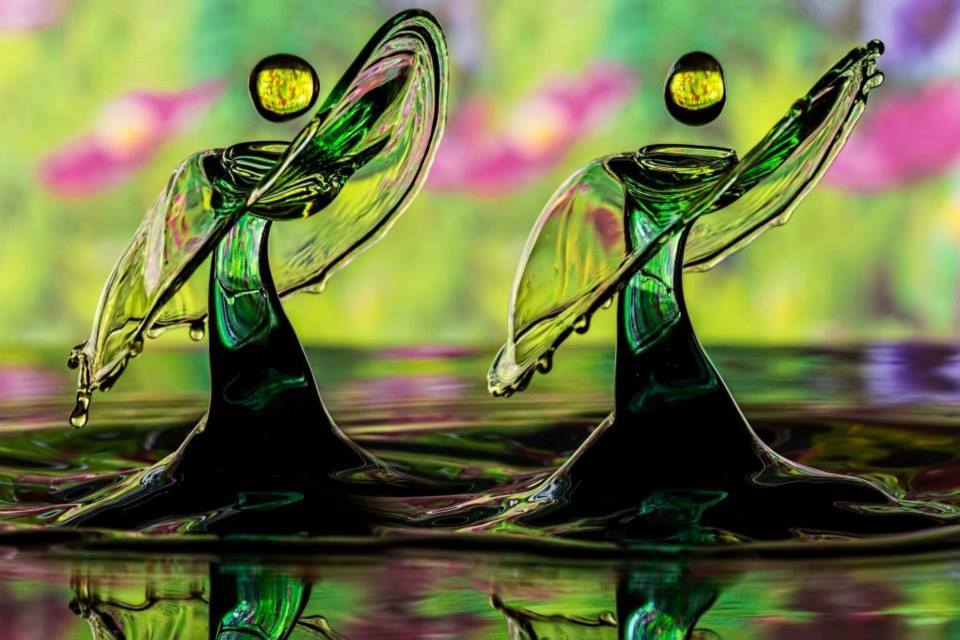 12019818_960727620632694_5846279892800630150_n