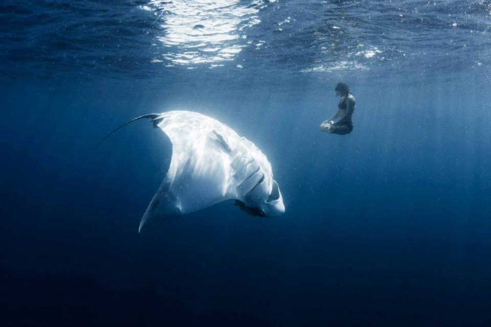 12032184_960727690632687_2846619471854143927_n