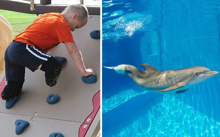 Το αγόρι χωρίς πόδια θέλει να συναντήσει το δελφίνι χωρίς ουρά