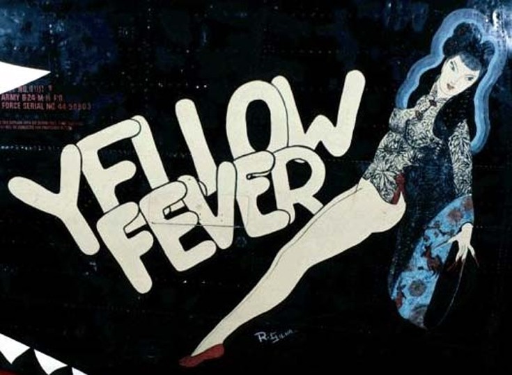 flyhgirlp9 flyhgirlp9