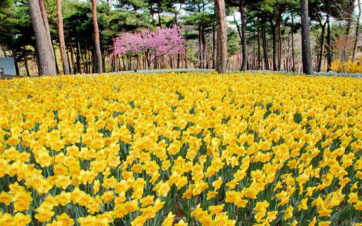 hhiticcchiii1 hhiticcchiii1