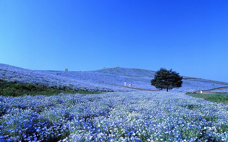 hhiticcchiii10 hhiticcchiii10