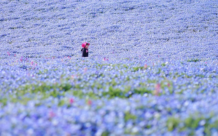 hhiticcchiii11 hhiticcchiii11