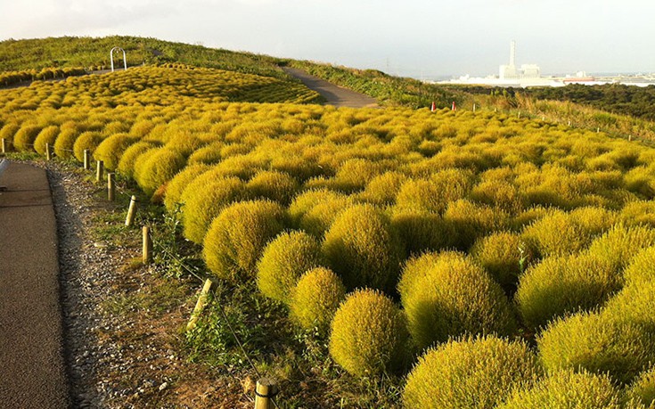 hhiticcchiii12 hhiticcchiii12