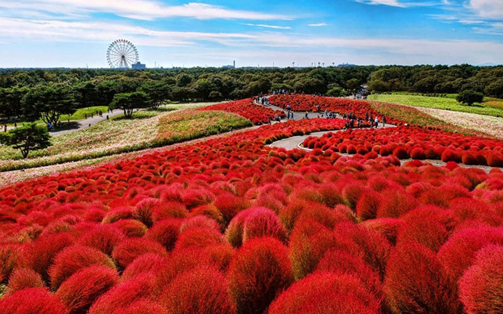 hhiticcchiii13 hhiticcchiii13