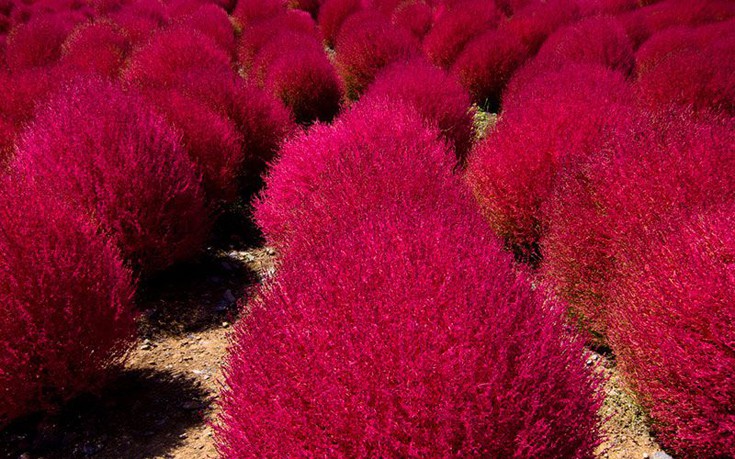 hhiticcchiii14 hhiticcchiii14