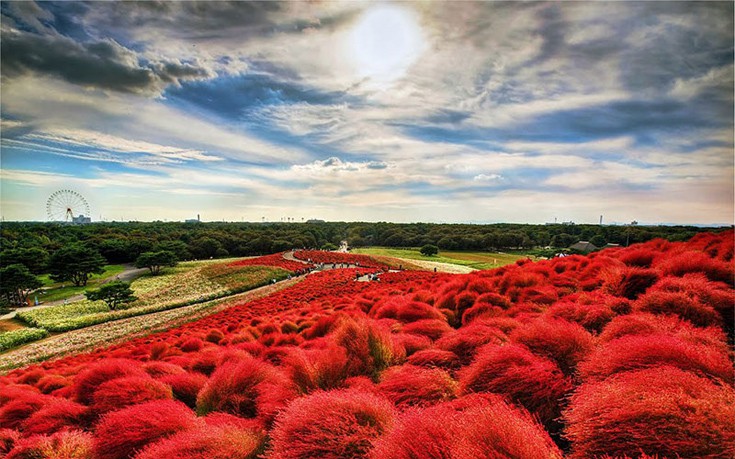 hhiticcchiii15 hhiticcchiii15