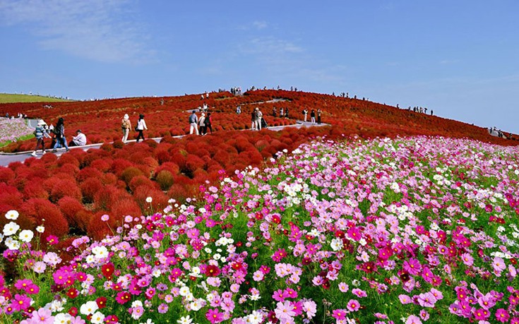 hhiticcchiii16 hhiticcchiii16