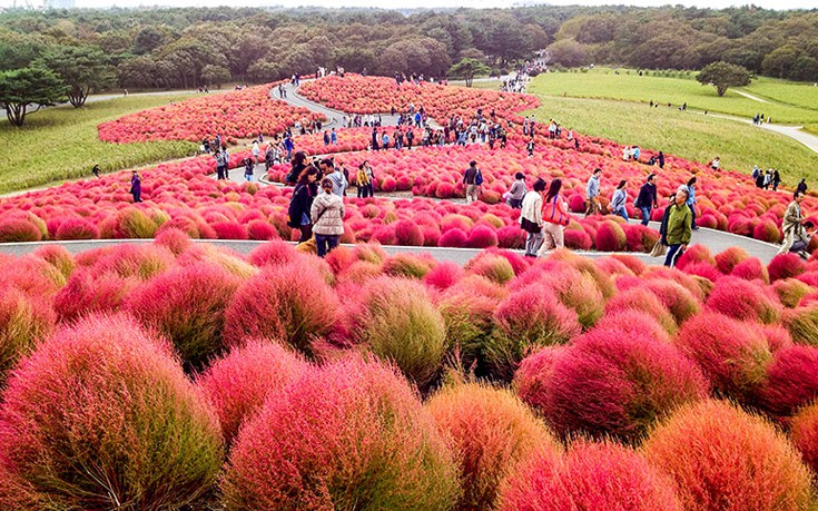 hhiticcchiii17 hhiticcchiii17