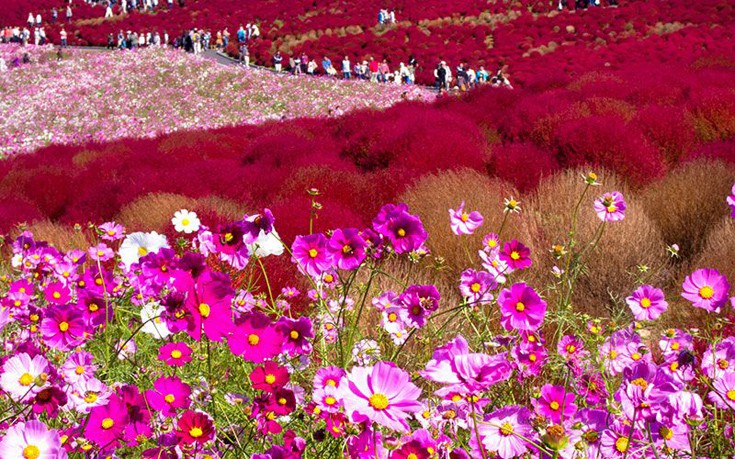 hhiticcchiii18 hhiticcchiii18