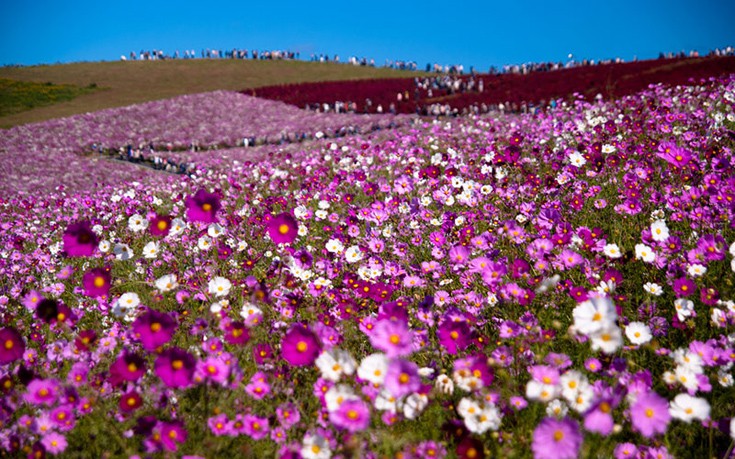 hhiticcchiii19 hhiticcchiii19