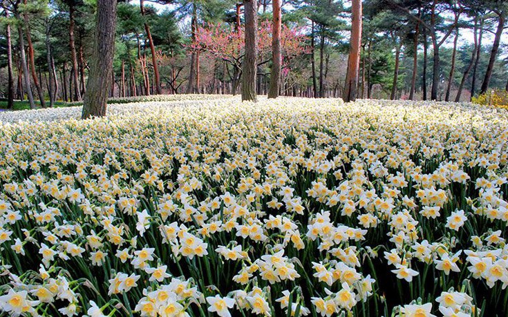 hhiticcchiii2 hhiticcchiii2