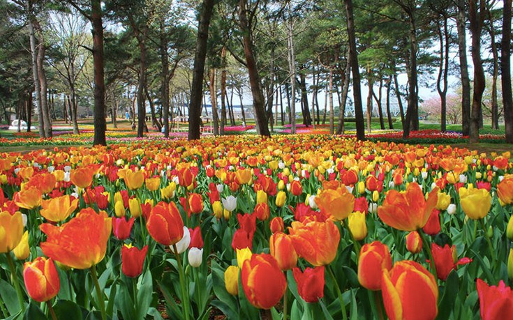 hhiticcchiii3 hhiticcchiii3