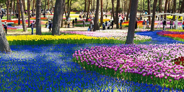 hhiticcchiii4 hhiticcchiii4