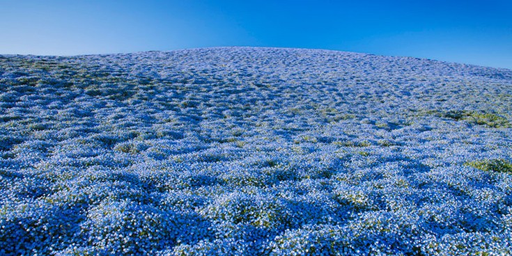 hhiticcchiii9 hhiticcchiii9