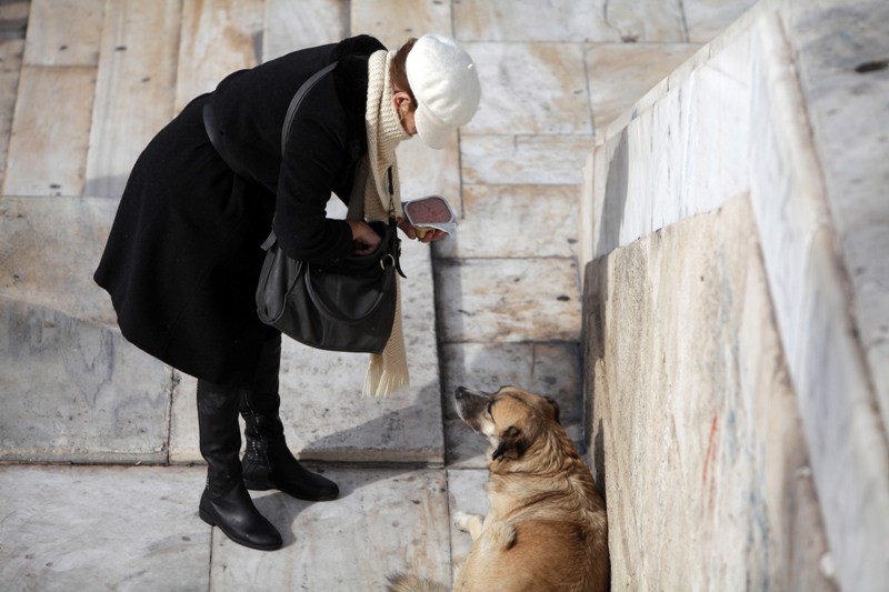 Διήμερο ευαισθητοποίησης για τα κατοικίδια από το δήμο Αθηναίων