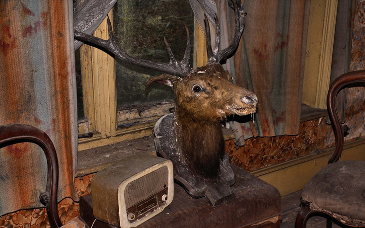 Paradise10 Paradise10