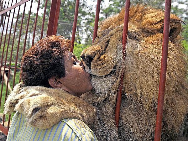Στην αγκαλιά των ζώων