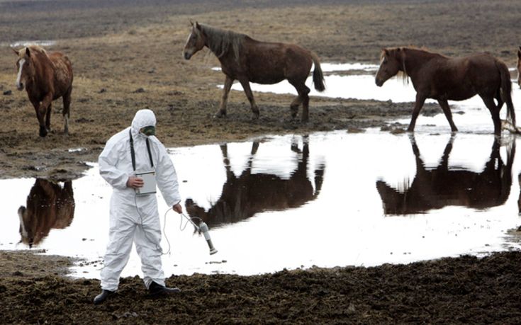 chernobyl-2