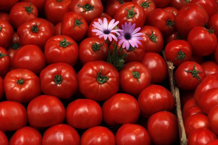 Δέσμευση 21 τόνων ντομάτας στη λαχαναγορά του Ρέντη