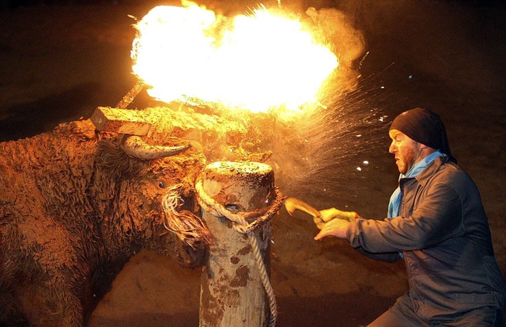 Το φρικιαστικό φεστιβάλ όπου βάζουν φωτιά στα κέρατα ταυρων