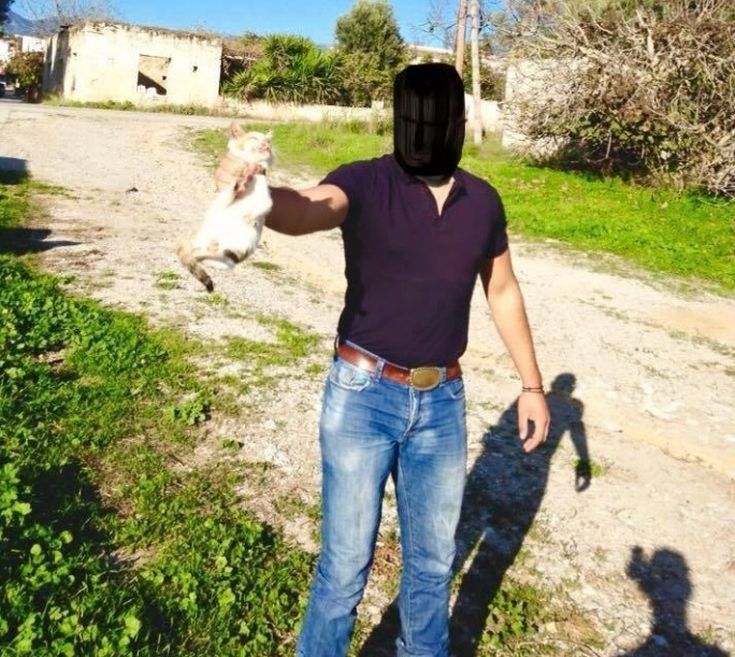 ΓΑΤΑΚΙ ΠΝΙΓΜΟΣ ΚΡΗΤΗ ΓΑΤΑΚΙ ΠΝΙΓΜΟΣ ΚΡΗΤΗ