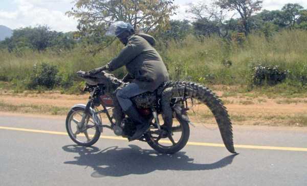 meanwhile-in-africa-32