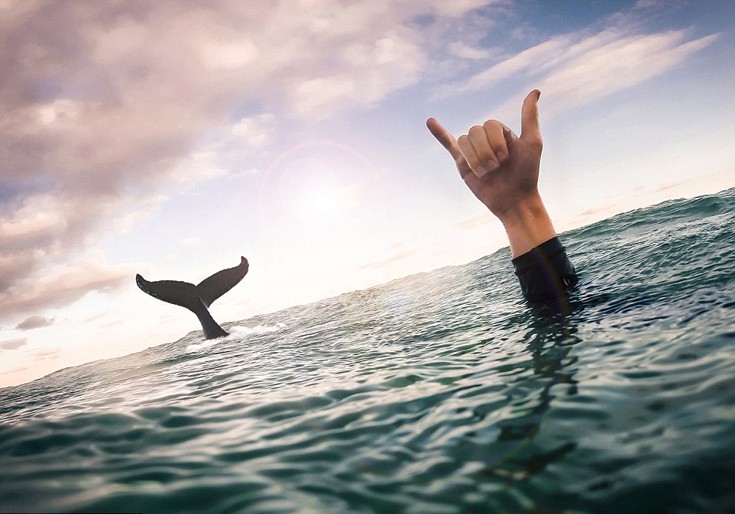 O «τρελός» 17χρονος που κρέμεται από ελικόπτερα και κολυμπά με φάλαινες