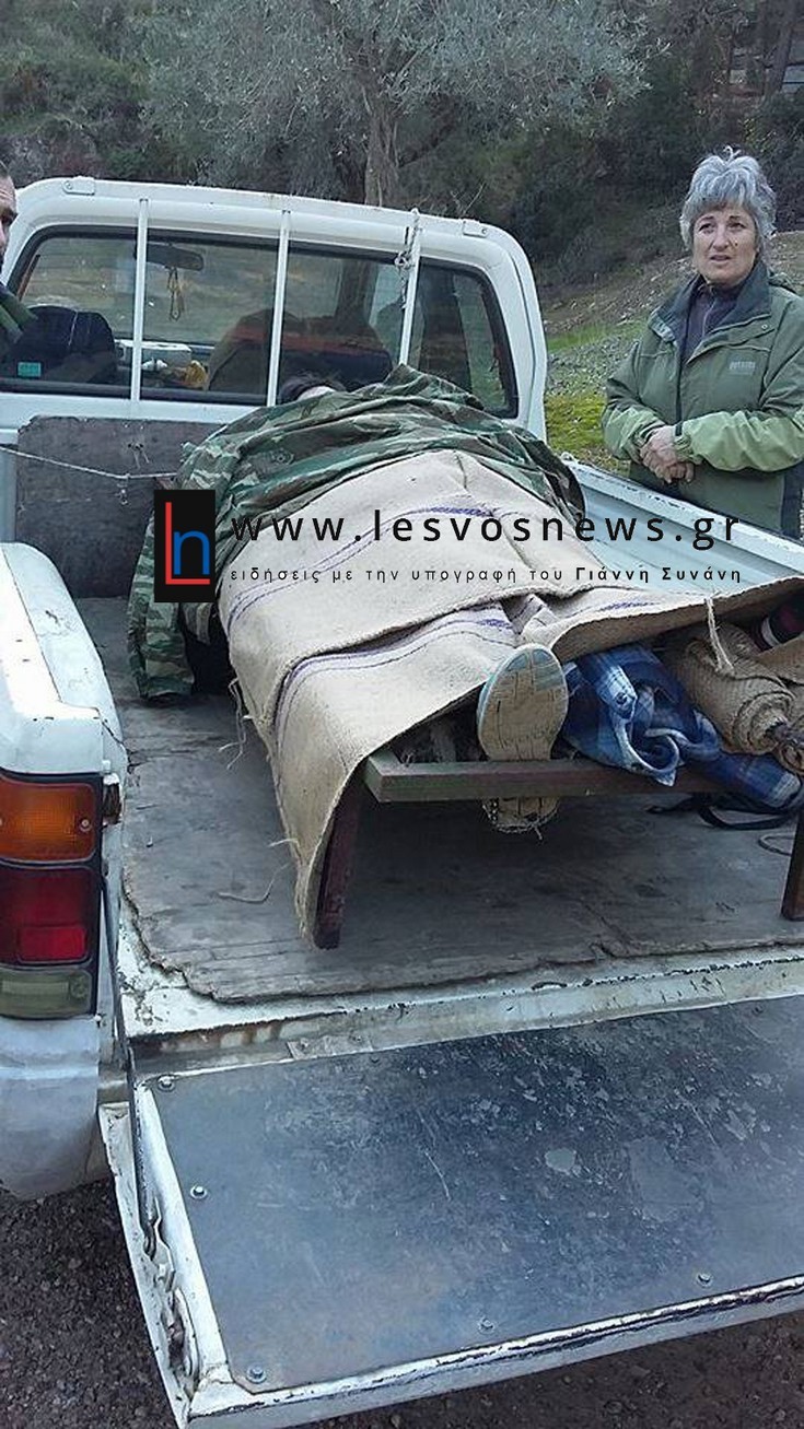 agrotisa-se-karotsa.jpg-2 agrotisa-se-karotsa.jpg-2