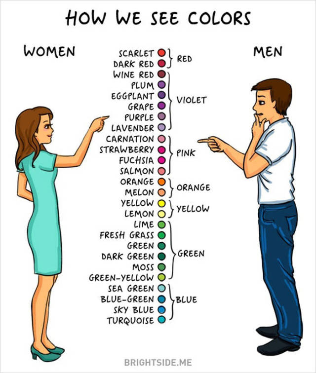an_illustrated_guide_to_the_quirky_differences_between_men_and_women_640_high_07