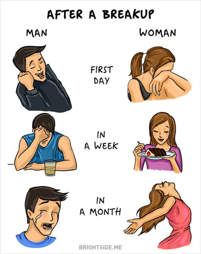 an_illustrated_guide_to_the_quirky_differences_between_men_and_women_640_high_11