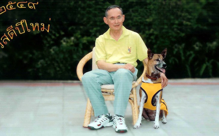 Άνδρας στην Ταϊλάνδη διώκεται επειδή «κορόιδεψε» τον βασιλικό σκύλο