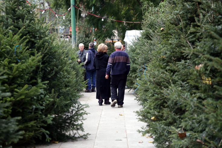 Πώς κινήθηκε η αγορά ελάτου σε Αθήνα και Θεσσαλονίκη