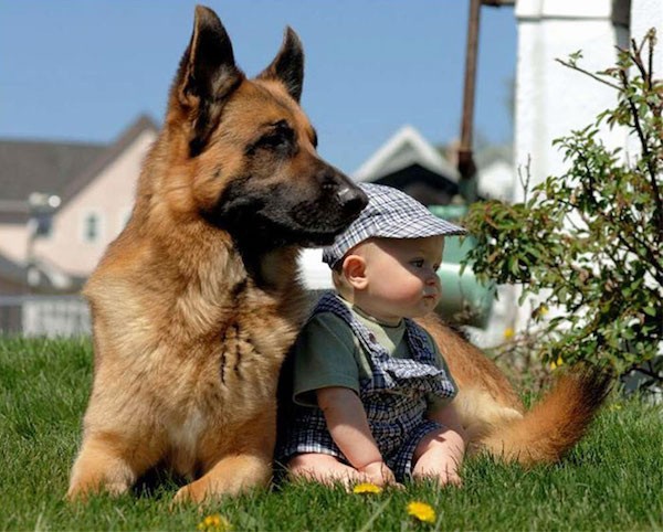 growing-up-with-pets-should-be-mandatory-25-photos-24