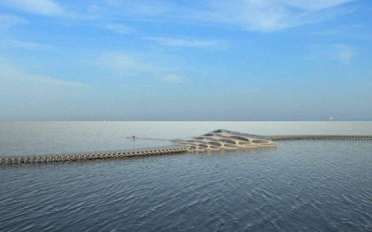 morphetel8 morphetel8