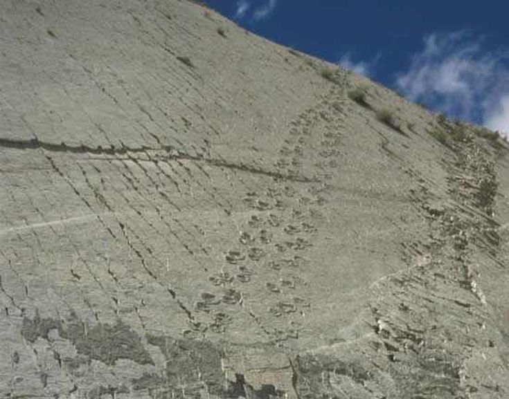 Το τείχος με τα χιλιάδες αποτυπώματα από δεινόσαυρους