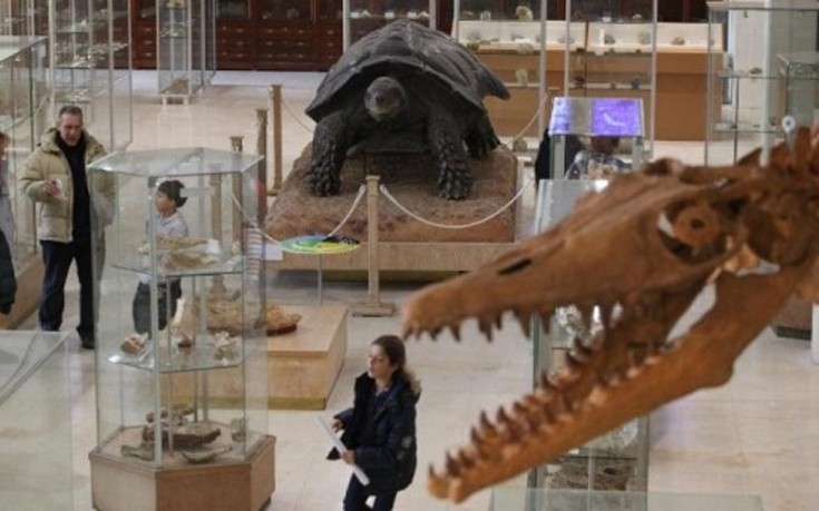 Ταξίδι στο χρόνο από το Μουσείο Παλαιοντολογίας και Γεωλογίας