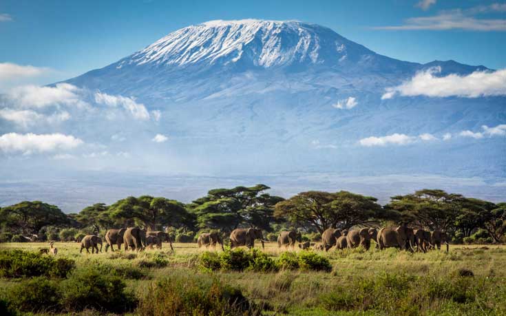 tzxiasiofm1 tzxiasiofm1