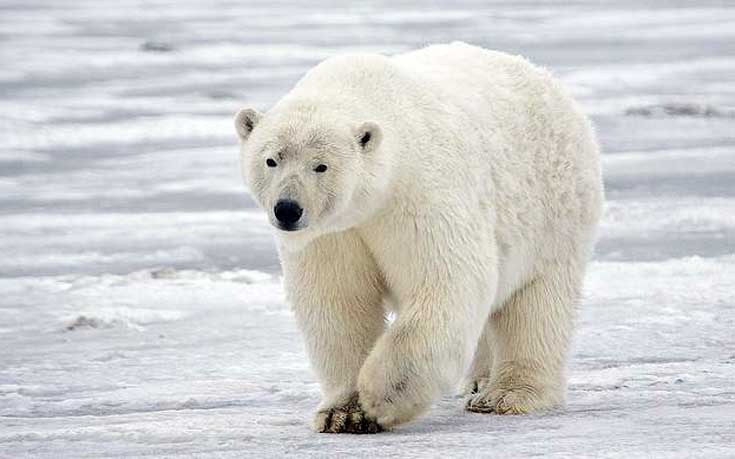 tzxiasiofm9 tzxiasiofm9