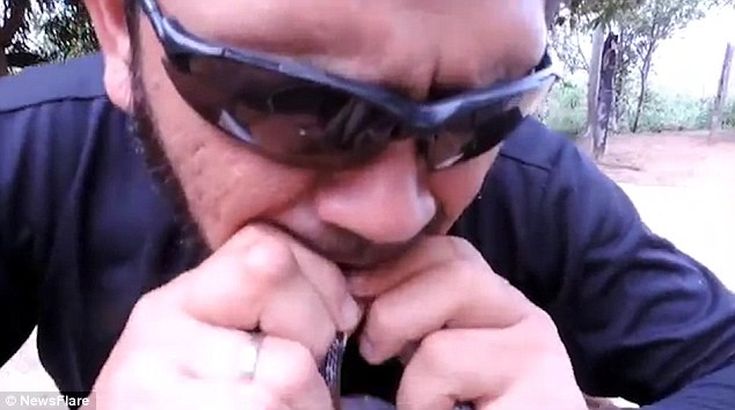 ΦΙΔΙΑ3 ΦΙΔΙΑ3