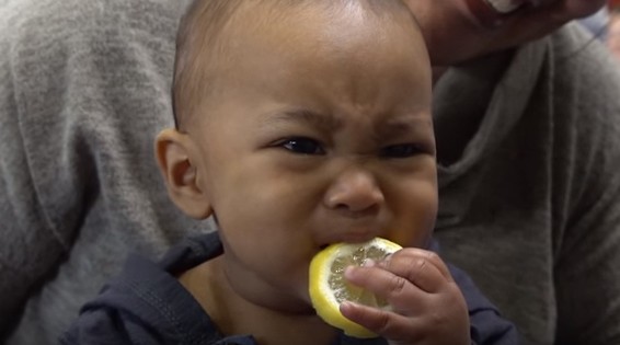 Μωρά δοκιμάζουν λεμόνι