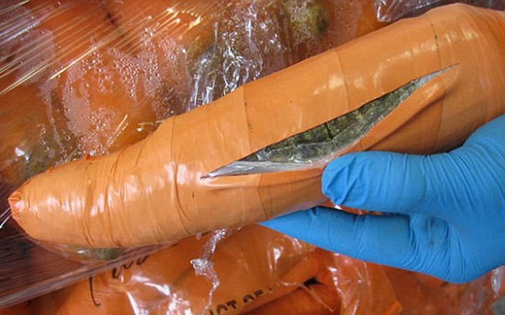 Έκρυψαν μαριχουάνα μέσα σε ψεύτικα… καρότα