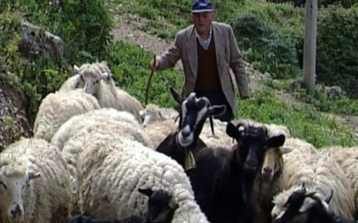 Παρατάθηκε η προθεσμία για άδεια εγκατάστασης κτηνοτροφικών μονάδων στη Λακωνία