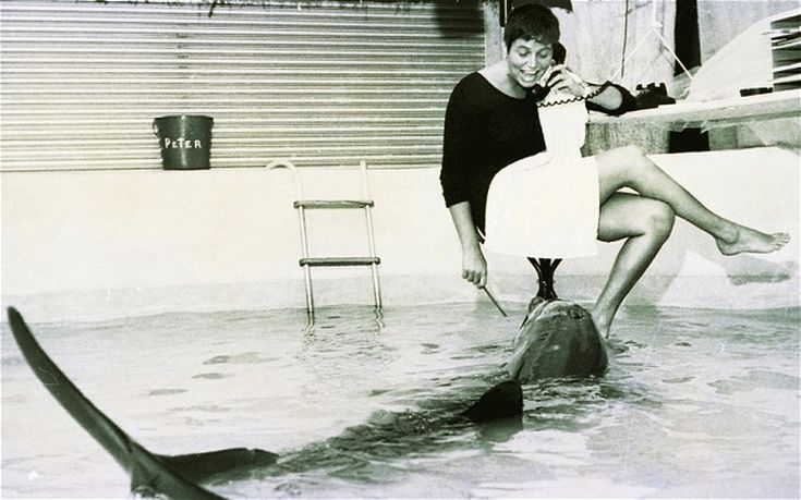 Η ιστορία της γυναίκας που αμάρτησε με ένα δελφίνι