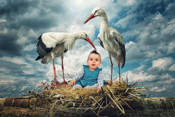john_wilhelm_is_photoholic_08 john_wilhelm_is_photoholic_08