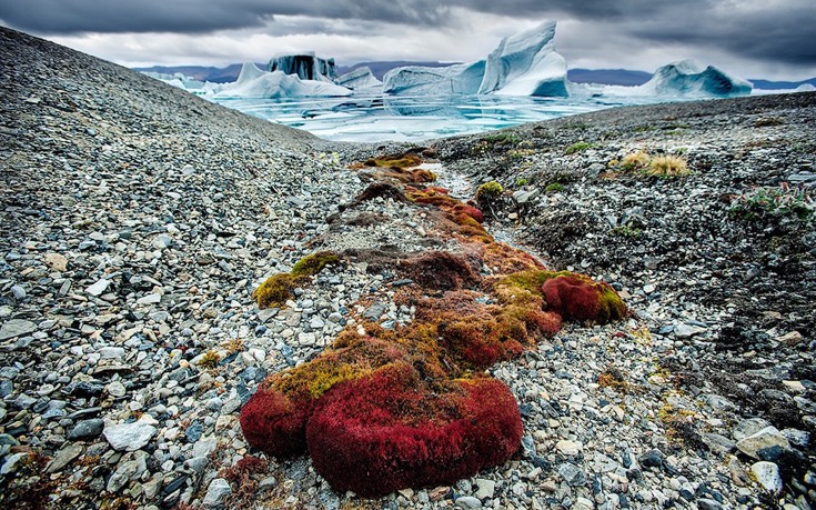 Φωτογραφίζοντας την άγρια ομορφιά της Αρκτικής