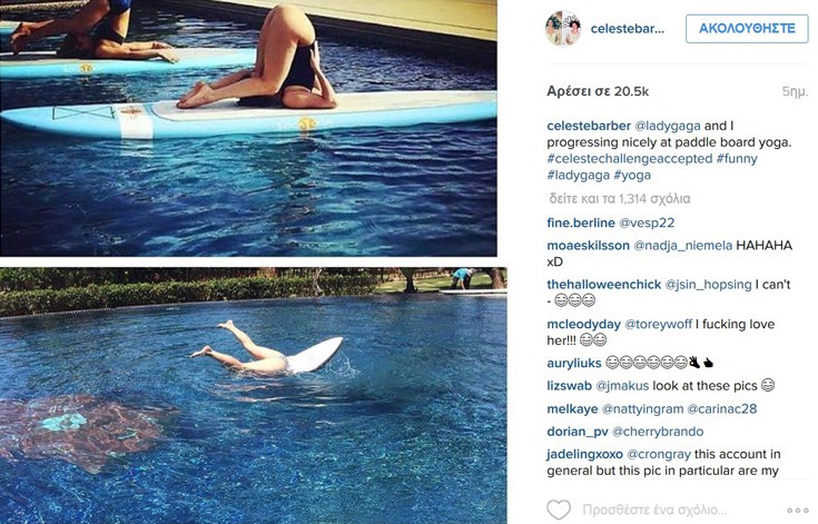 celestebar5 celestebar5