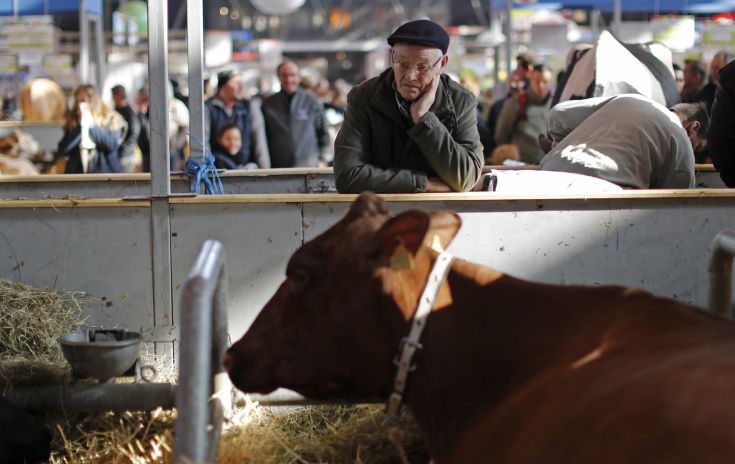 Κρούσμα της νόσου των τρελών αγελάδων επιβεβαίωσε η Γαλλία