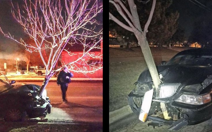 Γυναίκα οδηγεί με&#8230; ένα δέντρο κολλημένο στο αυτοκίνητό της